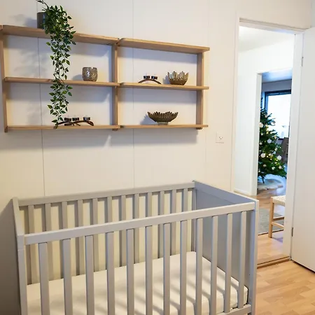 Cozy In - Ailo